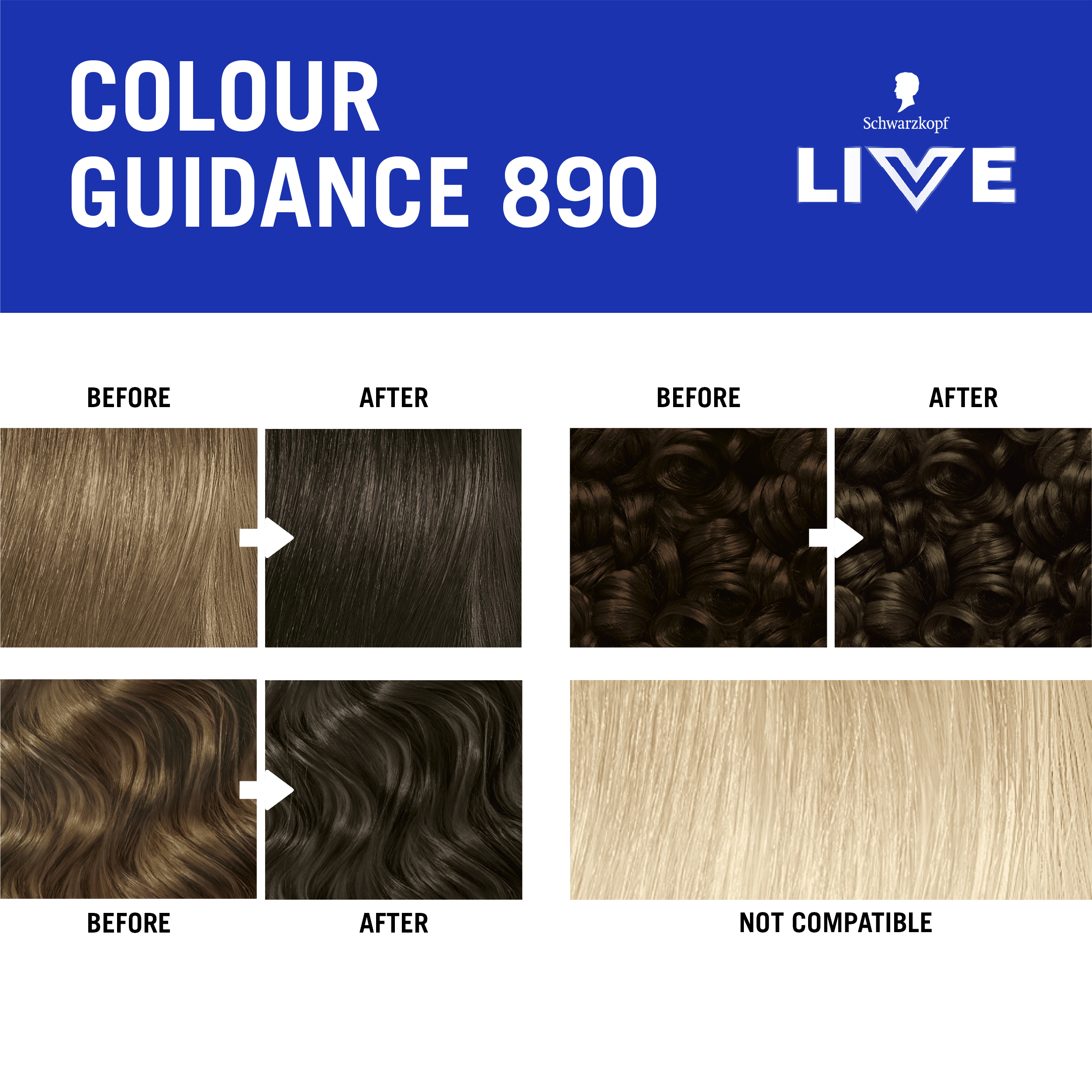 890 ESPRESSO MARTINI