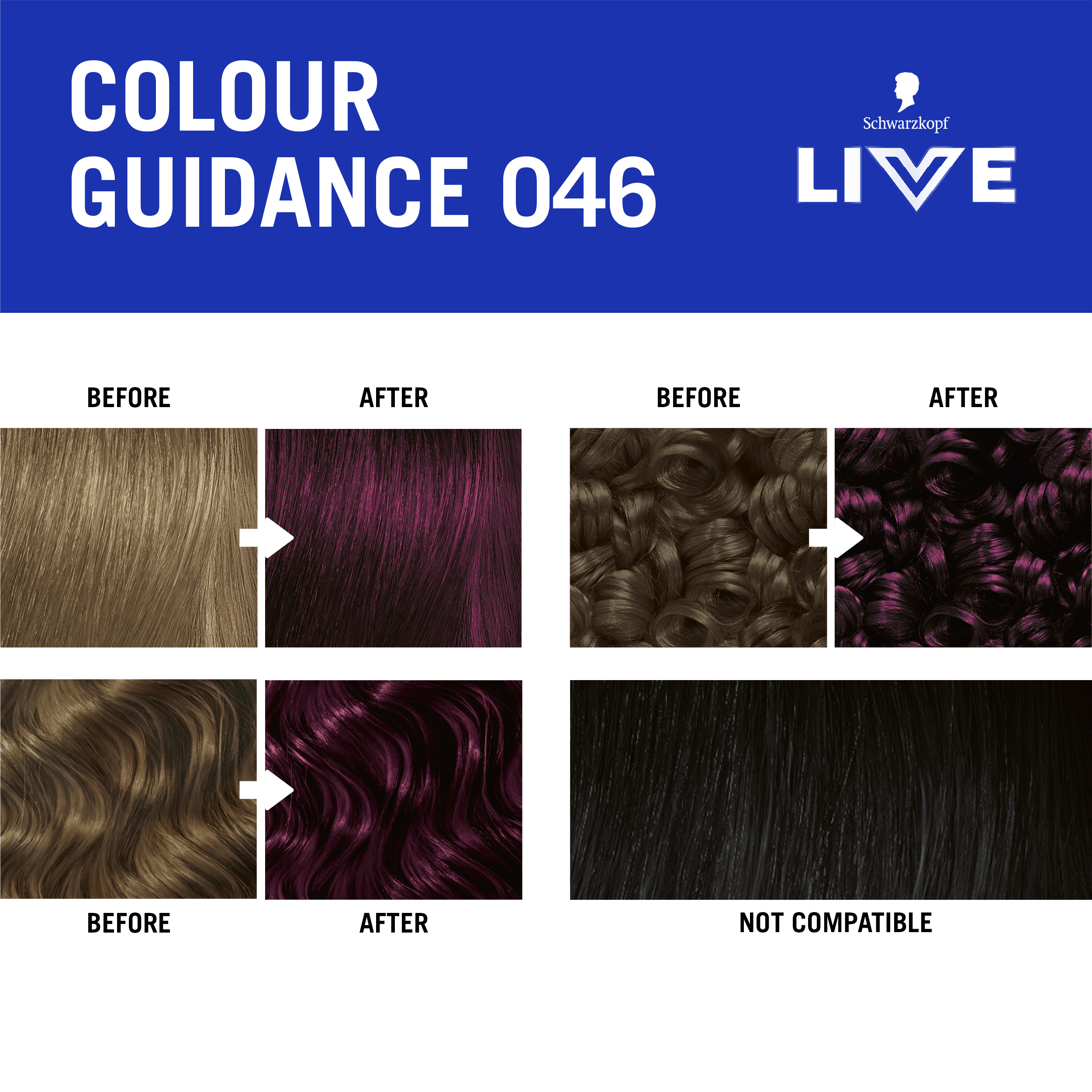 046 CYBER PURPLE