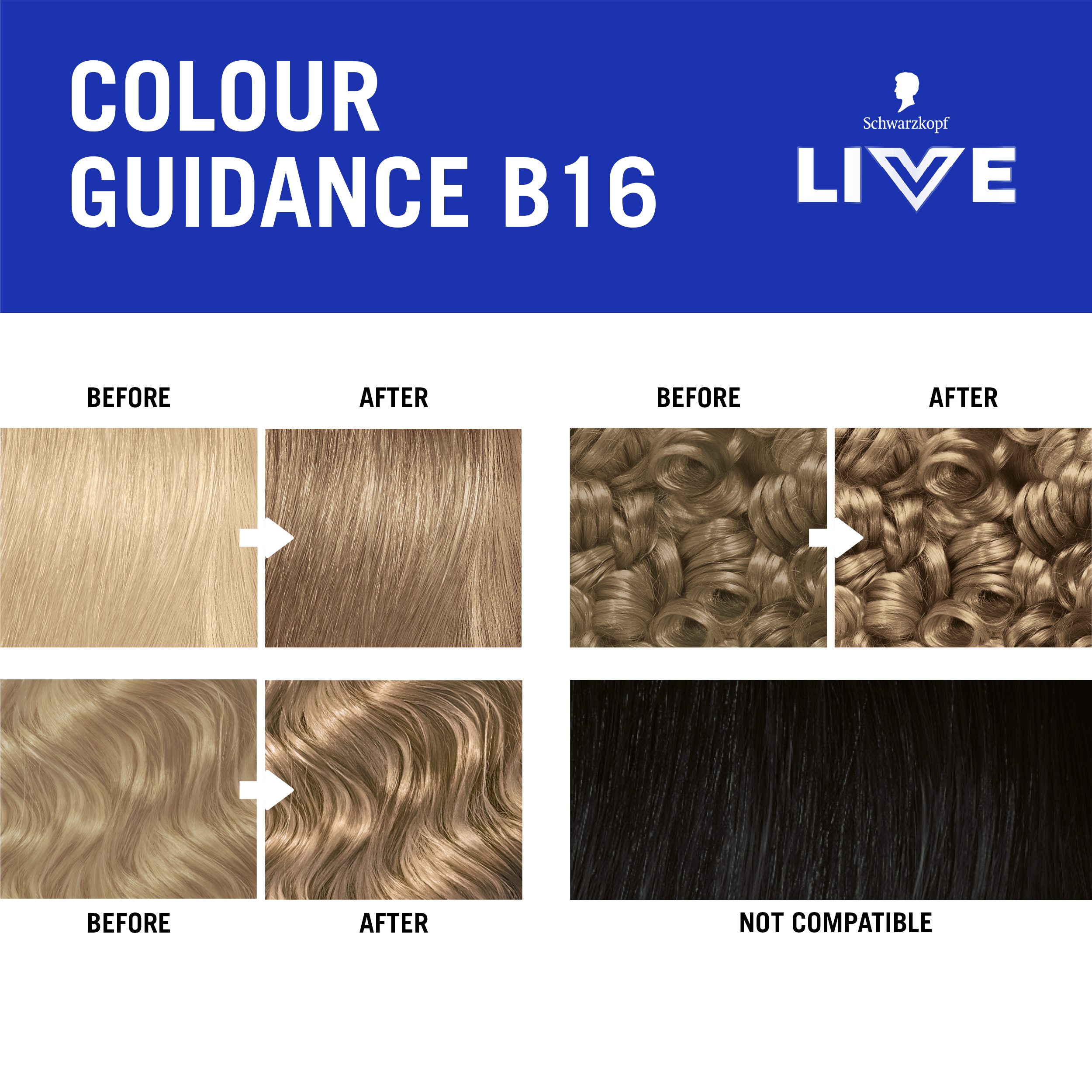 B16 HONEY BLONDE