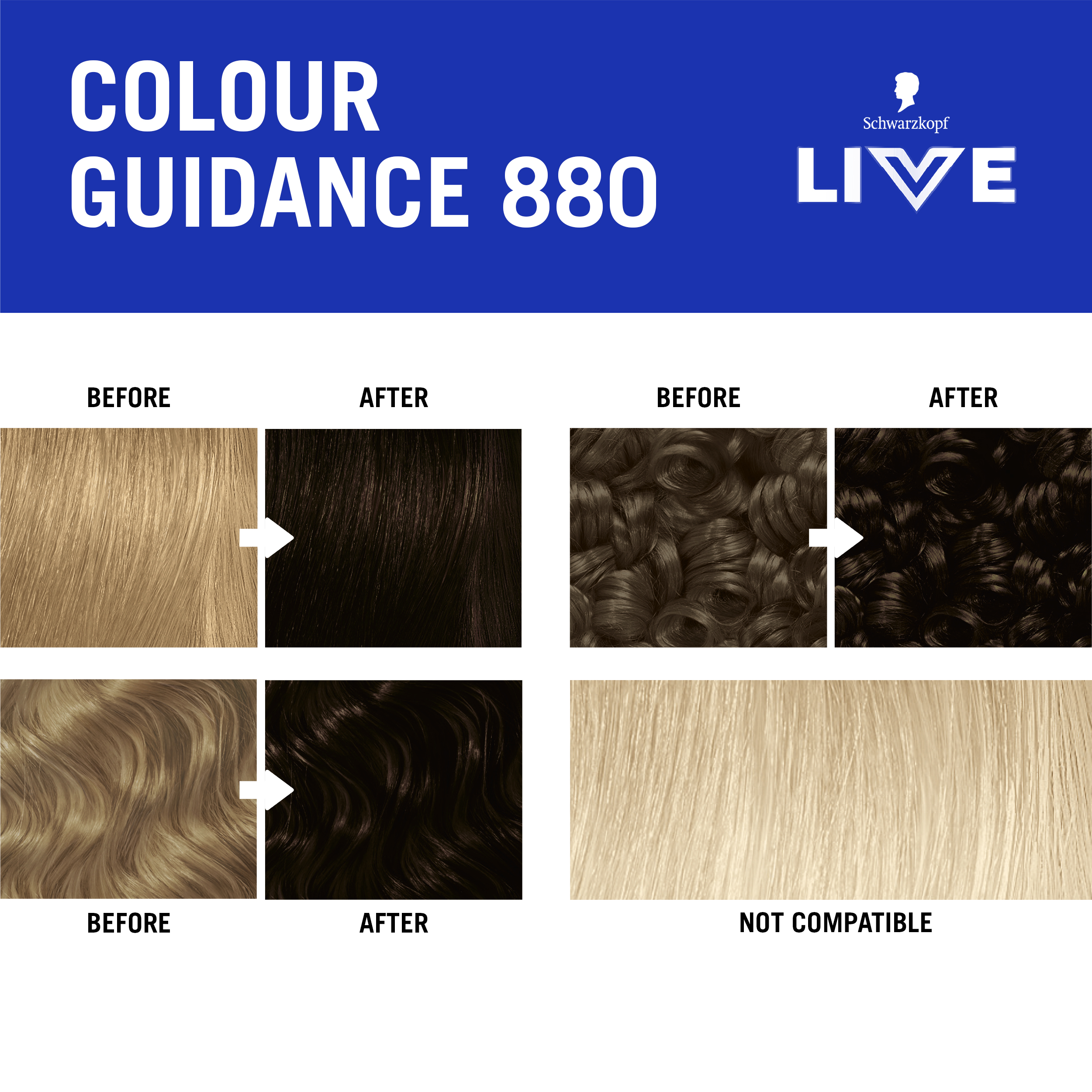 880 TEMPTING CHOCOLATE