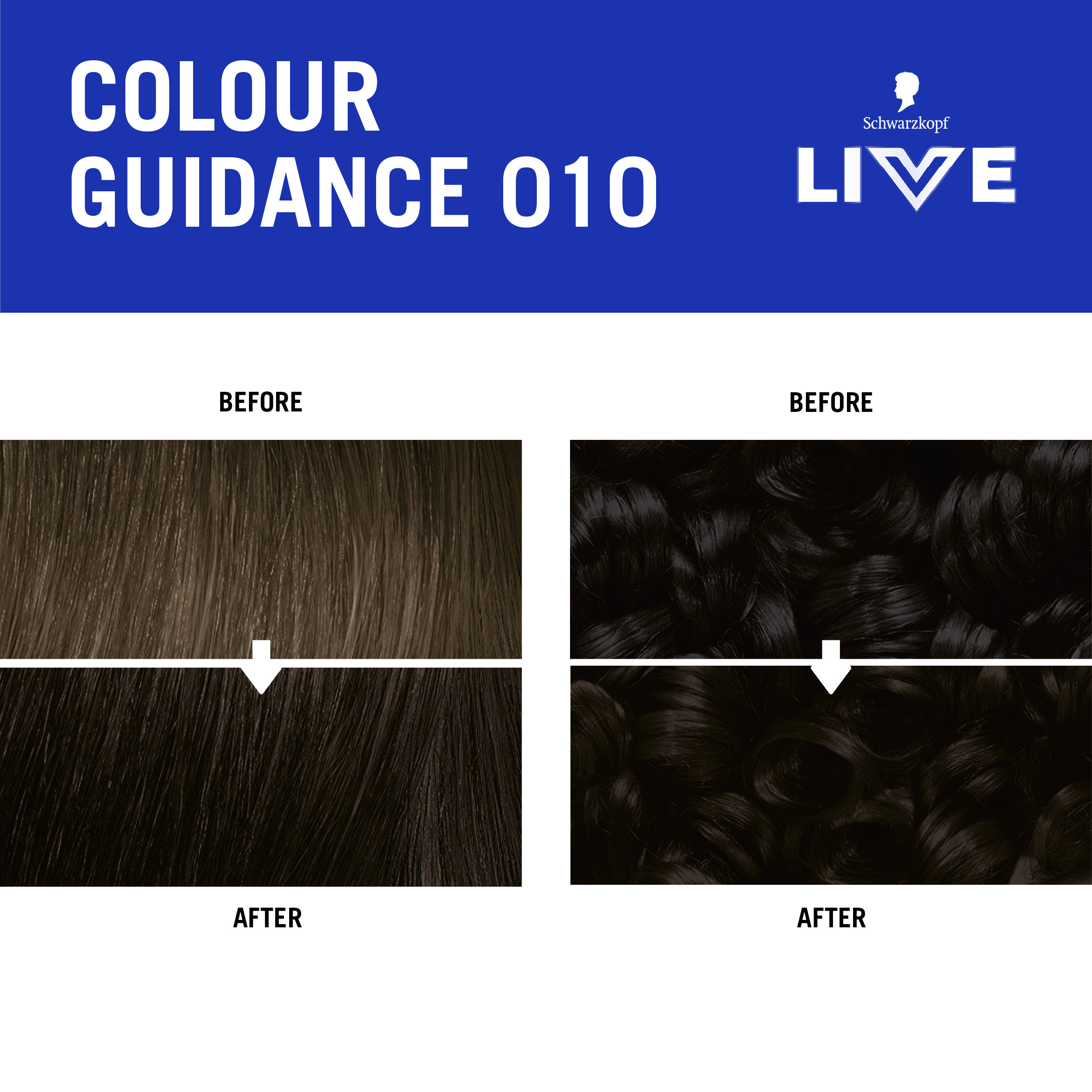 010 CHARCOAL BRUNETTE